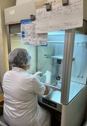 製剤の様子